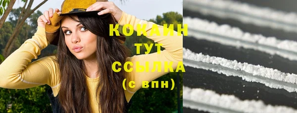 кокс Белокуриха