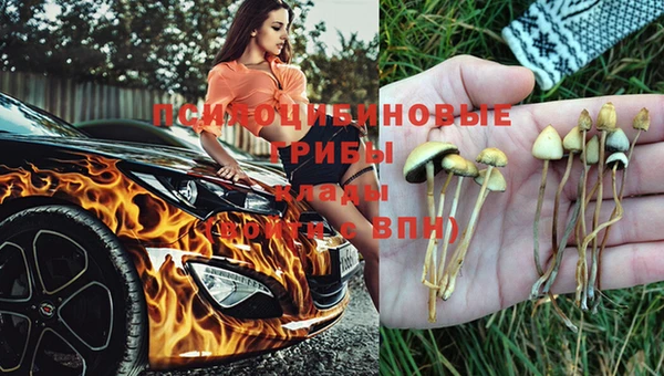 apvp Беломорск