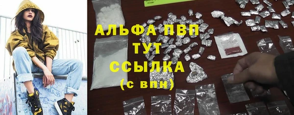 гашик Белоозёрский